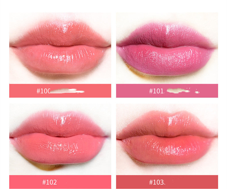 Lipstick Matte  Lasting Moisturizing Moisturizing Waterproof